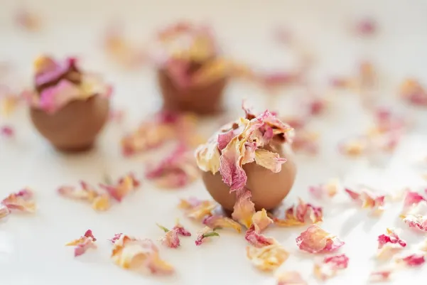 Kaszinó Haiti Win Android/iOS Alkalmazás